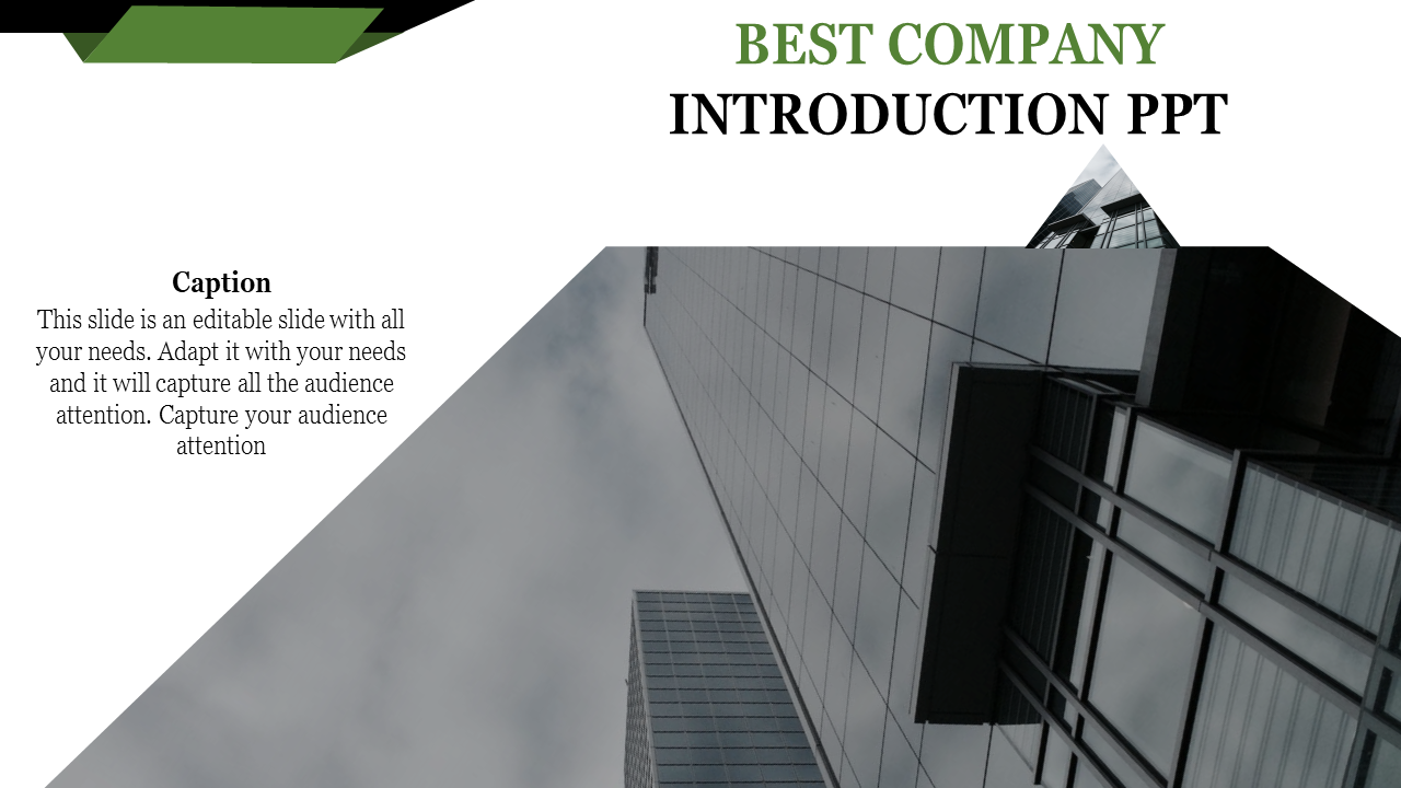 Company Introduction PPT Presentations and Google Slides 